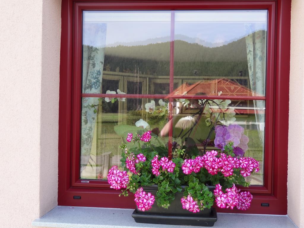 Landhaus Rauth Appartement Leutasch Buitenkant foto